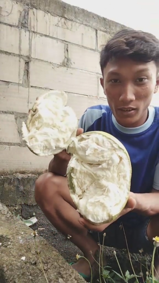 buah langkah🍈 #mojopahit #buahmaja #buahlangka #spil #trendingvideo #tahunbaru2025🥳🥳🥳 #jumat #tiktokviral #fyp #cakper19 