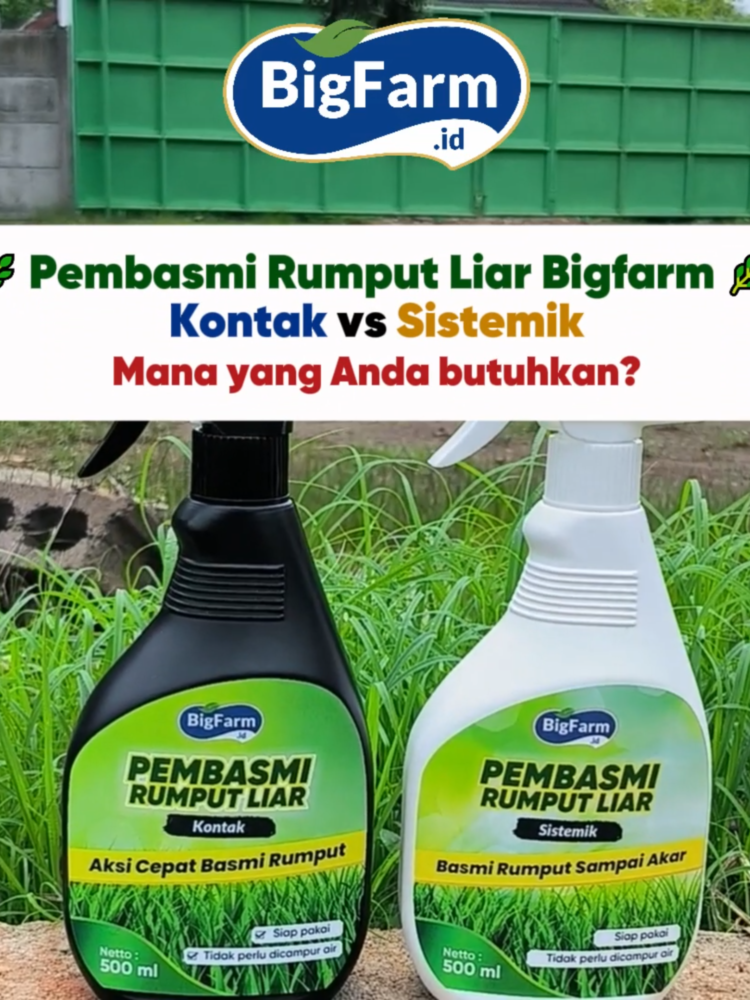 🌿 Rumput Liar? Bigfarm Solusinya! 🌿 Kenalkan, Pembasmi Rumput Liar Bigfarm: ✨ Varian Kontak – Rumput layu dalam hitungan jam! ✨ Varian Sistemik – Membasmi hingga ke akarnya, tuntas sempurna! 💧 Apa pun kebutuhan kebunmu, kami punya solusinya. Lihat hasil Before & After yang nyata! 🌱 Kontak untuk hasil cepat. 🌾 Sistemik untuk hasil jangka panjang. 📦 Tersedia dalam kemasan praktis, langsung semprot tanpa repot! 👉 Bersihkan kebunmu dari rumput liar dengan Bigfarm. #Bigfarm #PembasmiRumputLiar #Gulma #KebunSehat #PertanianModern #TipsPetani #pembasmirumput #TumbuhBersamaBigfarm