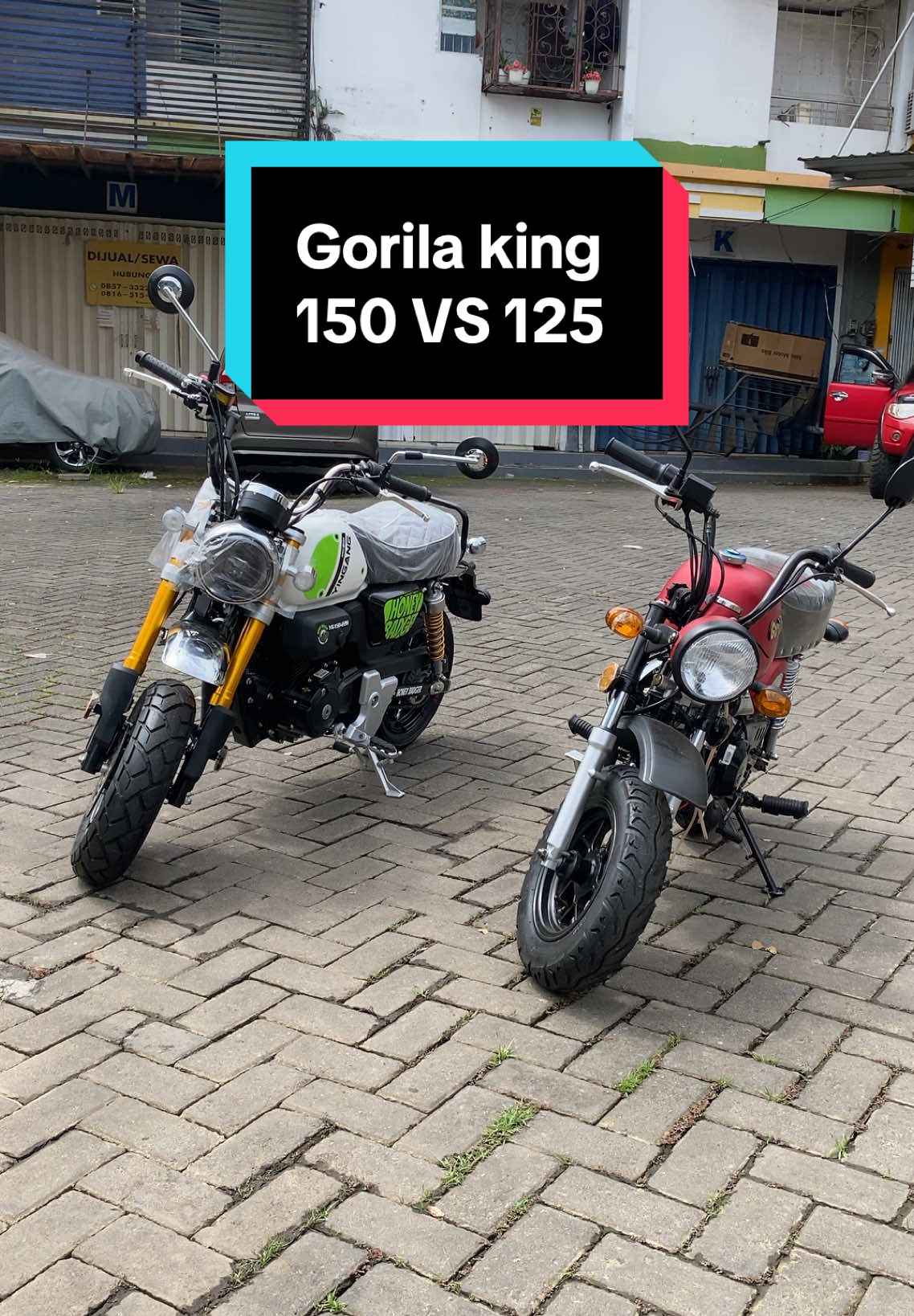 Gorilla king 150cc dan 125cc #fyp #fyp #fypシ #fyppppppppppppppppppppppp 