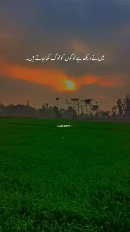 میں نے دیکھا ہے لوگوں کو لوگ کھا جاتے ہیں