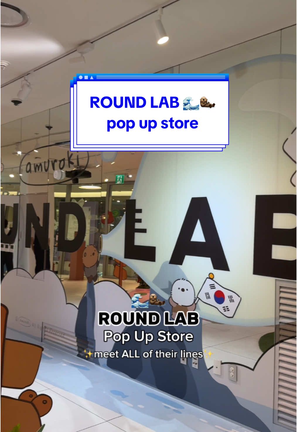 all of our favourite products in ONE PLACE🤩😮‍💨  @ROUND LAB  #roundlab #popupstore #stylekorean #kbeauty #koreanskincare #stylekorean_global 