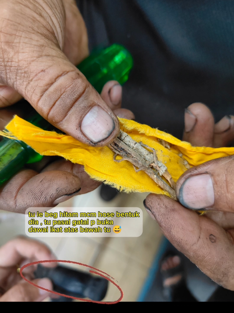 sebelum nk masuk 2025 . tahun 2024 mcm² kami kne ,pertama bungkus dalam tu ada tulang kongkang . tahun baru ni jmpa tapi tak tahu kayu apa urm 🥲 . mudah mudahan tahun baru kami sekeluarga bahagia selalu smpai ke akhir hayat 🤲🏼  #kainkuning  #bendakotor #fypage #fypシ゚viral #fypシ #fyp #fyppppppppppppppppppppppp 