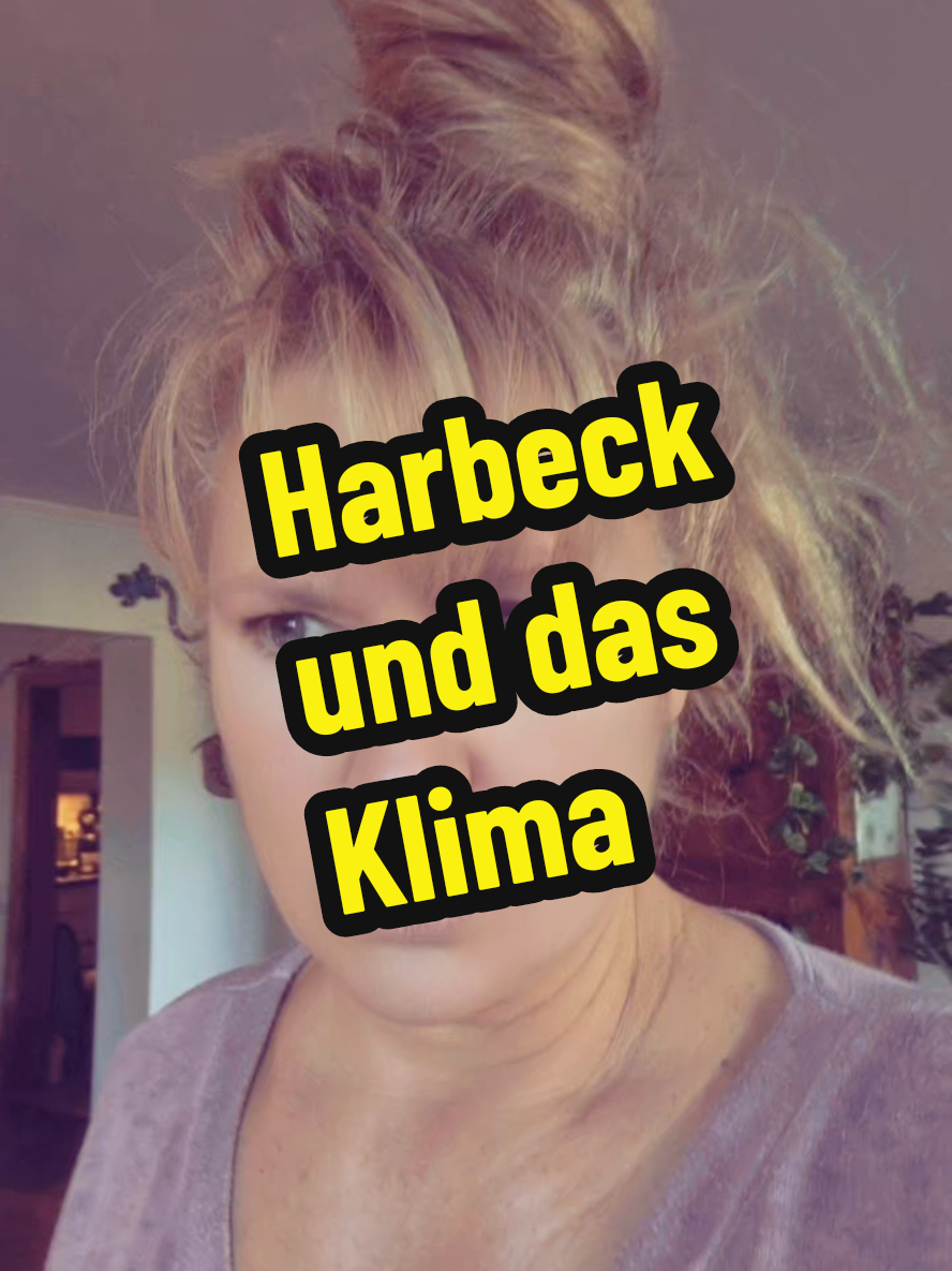 der Typ ist hohl,da kann mir einer sagen was er will #böseBirgit #fouryou #fouryourpages #fürdichpage #harbeck #klima #politik 