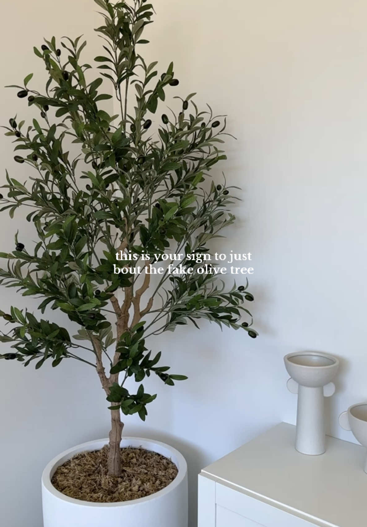 Just buy the dang thing! 🫒 #fakeolivetree #homedecor #mediterraneandecor #homedecoraus #aesthetichome #australianinteriors 
