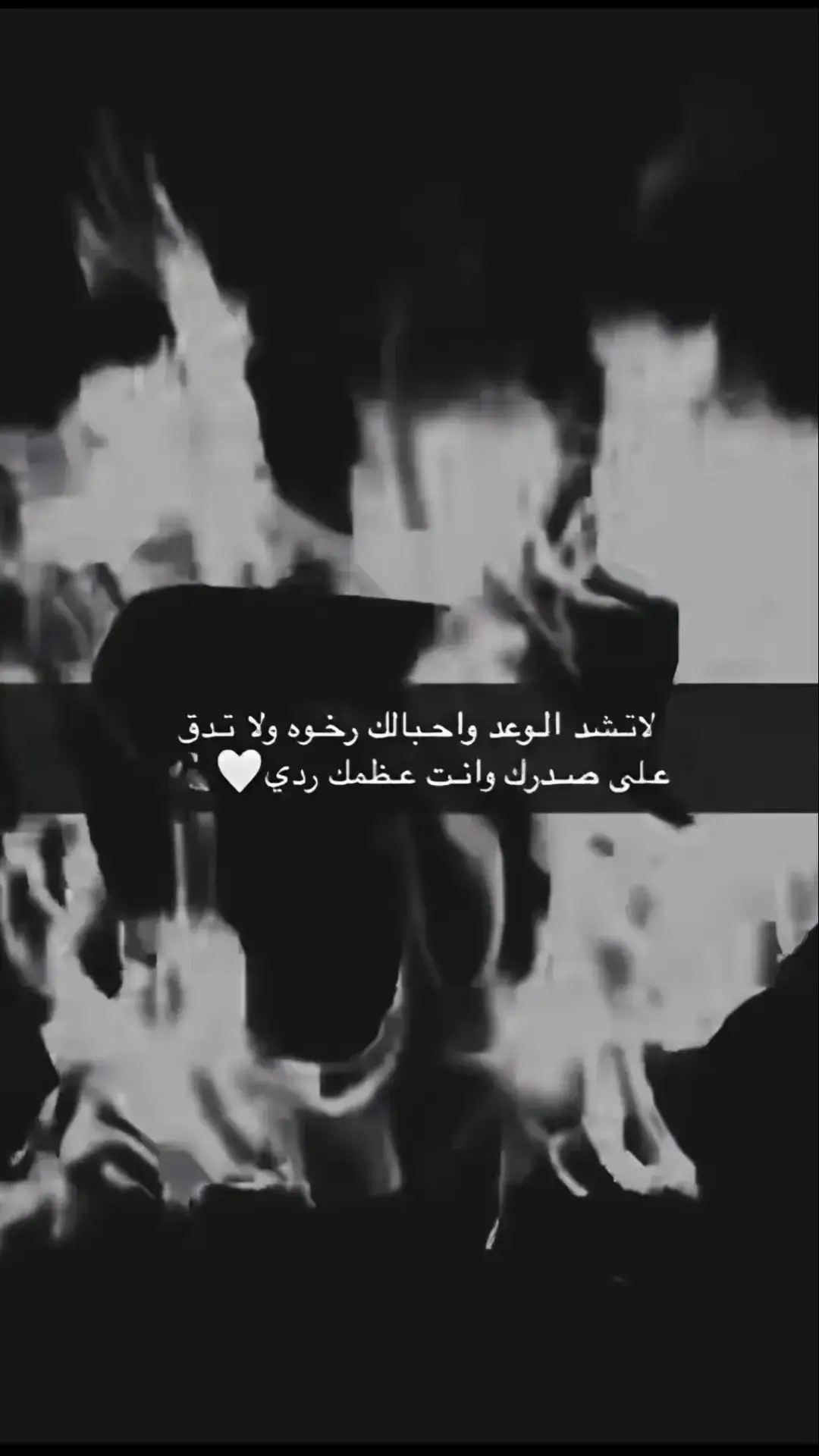 #قصيده_شعر_بوح_كلام_من_ذهب