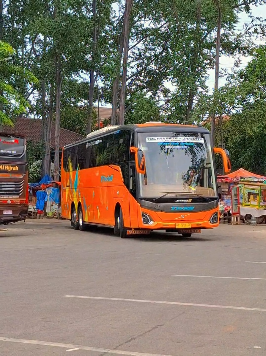 tronton jogja 🔥😎 #tividi #tividibus #videobus #busindonesia #busmaniacommunity #fyp #xuhuongtiktok #virall #masukberandafyp 