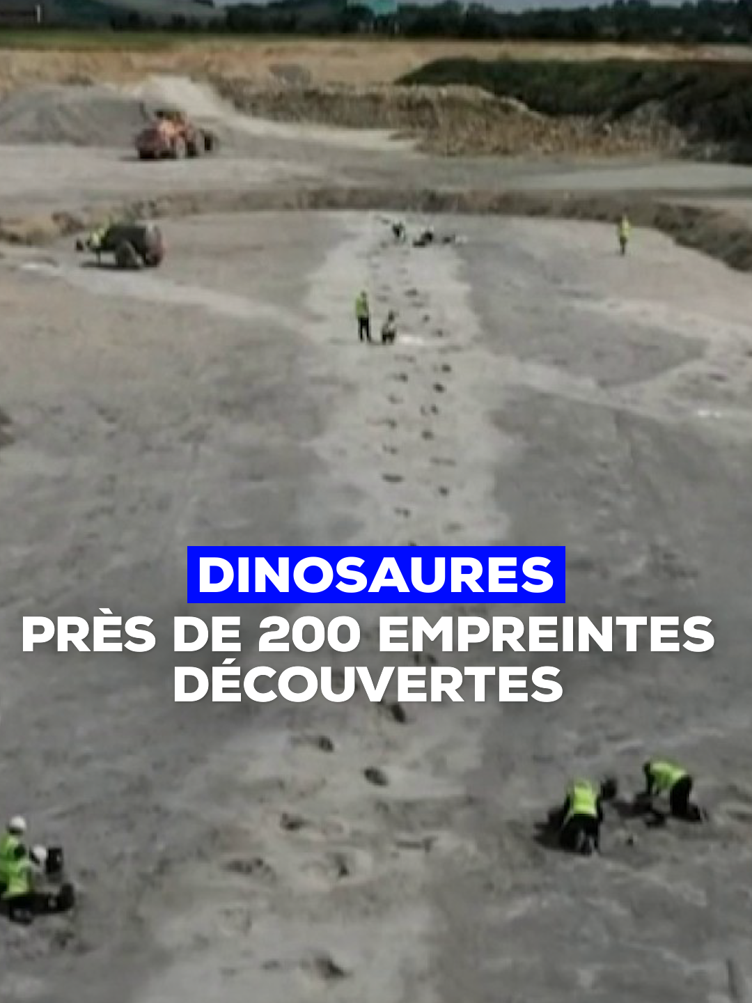 Près de 200 empreintes de dinosaures ont été découvertes dans une carrière au Royaume-Uni. Des paléontologues ont fait la découverte d’un site impressionnant d’empreintes de dinosaures datant de 166 millions d'années et qui appartiendraient à cinq spécimens différents.    #insolite #dinosaure #jurassic #jurassique