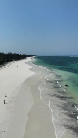 There’s something peaceful about being on the beach 📍Diani Beach, Kenya #ClearWaters #TropicalEscape #IslandLife #Paradise #ClearSea #TravelGoals #drone #droneshot #dji #mini4pro #travellife #travel #solotravel #kenya #kenyantiktok #dianibeach #dianibeachkenya #dianibeachmombasakenya #mombasa #mombasakenya 