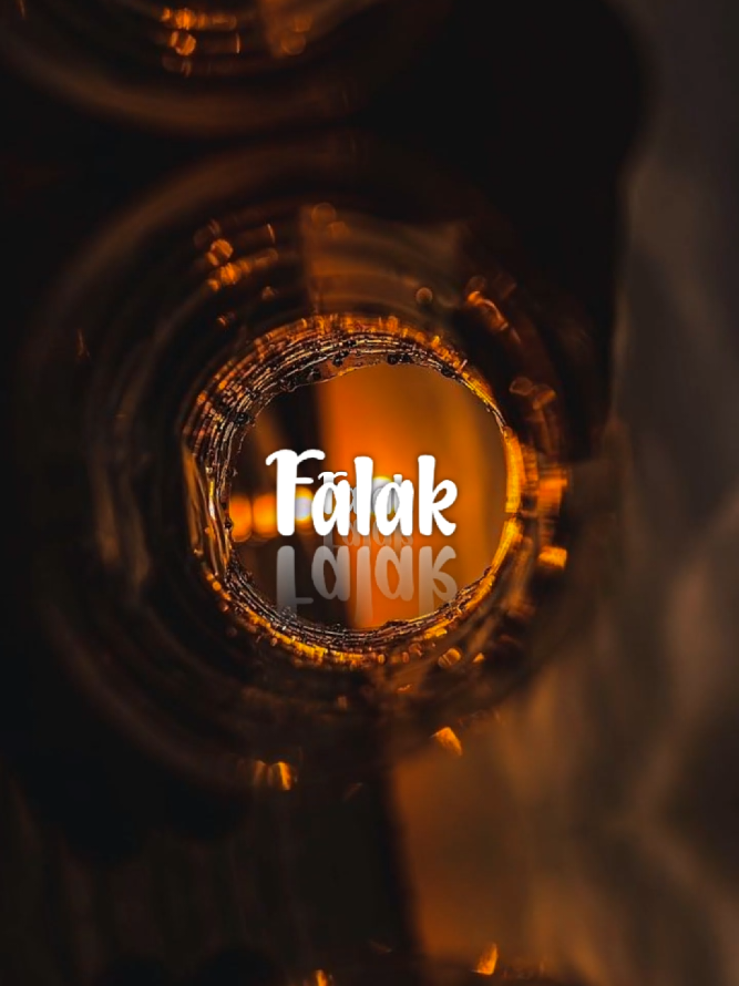 Falak tak chal👫💐🥰 #foryou #foryoupage #lyrics #lyricsvideo #trending #goviral #newsong #music_lover0129 