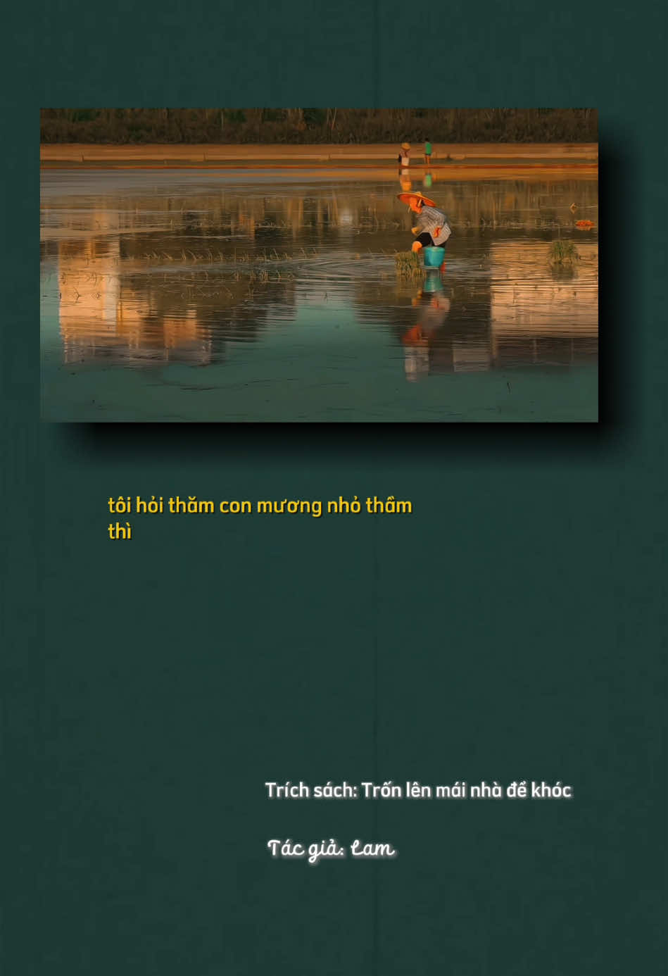 Đã từng có những ngày, mình ngây ngô ước gì thời ấu thơ hãy mau chóng qua đi…. Mà trời ơi, mình nào hay biết, có những mùa hè ngập tràn tiếc nuối như thế ở trong đời…#tronlenmainhadekhoc #trichdanhay #caunoihay #chualanhtamhon #sachhay #BookTok #reading #xuhuong2025#LearnOnTikTok 