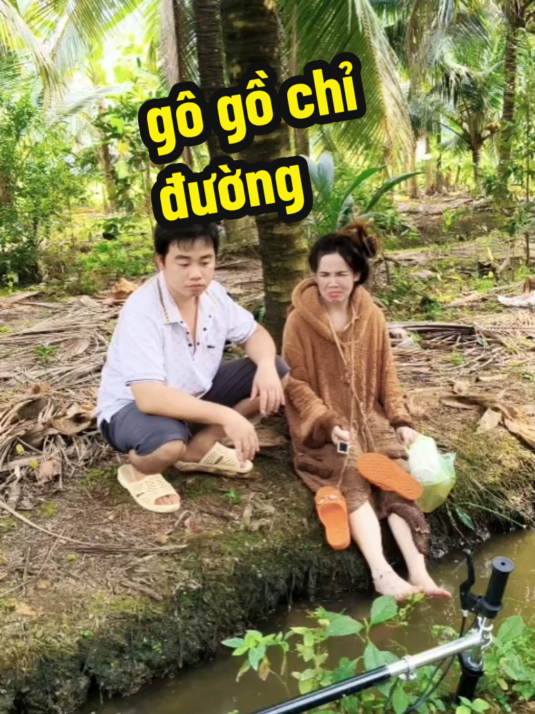 đi lạc😂#cobahola #chuyenvuimoingay #giadinhvuive #nhatkyrarieng 