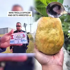 BRO GOT ARRESTED FOR TROLLING OFFICER 😭 #cops #police #policeofficer #copsoftiktok