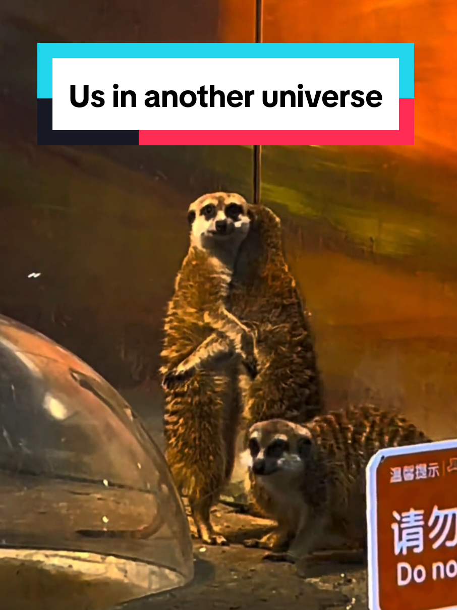 Us in another universe 💕 #usinanotheruniverse 