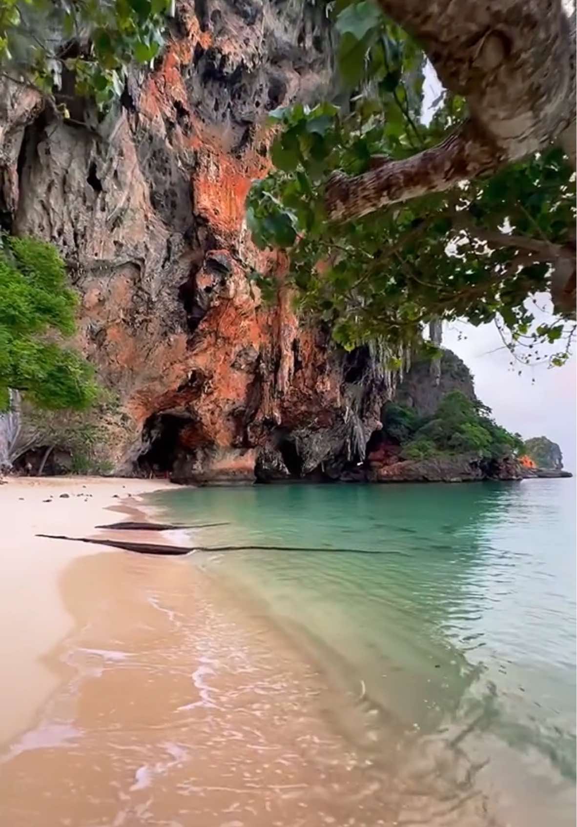 Listen to the sound of the waves with your eyes 🍃🌊 📍Phra Nang Beach - Railay Krabi , Thailand 🇹🇭  . . #thailand #thailandtravel #nature #beachvibes #islandlife #travel #vacation #waves #sunrise 