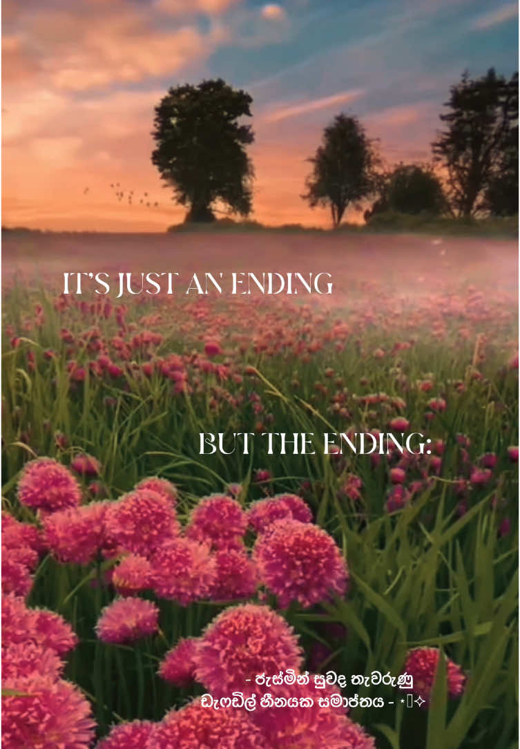 ජැස්මින් සුවද තැවරුණු ඩැෆඩිල් හීනයක සමාප්තය 🥺⋆˙⟡ #pipunamalaka #wattpadsinhala #sohissoul #minbemin ##BookTok #CapCut #fyp @minbemin #ending 