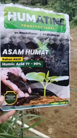 Akar sehat mencari makanan #racuntiktok #petanimuda #sorotan 