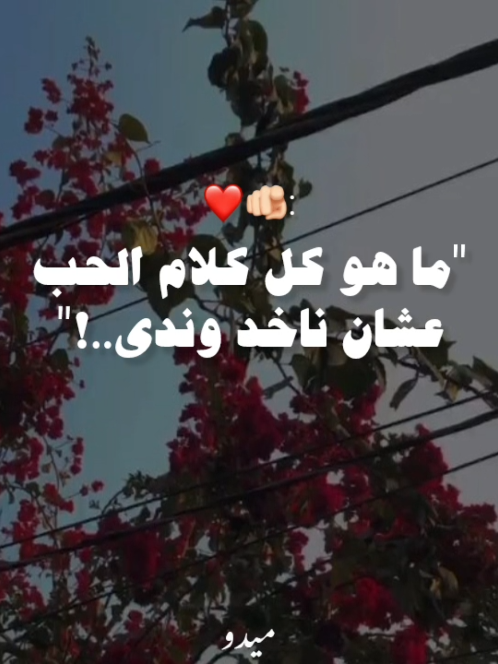 ما هو كل كلام الحب عشان ناخد وندي 🫵🏻❤️.......... . . . #كريم_محمود_عبدالعزيز #اغاني #رومانسي #حب #افلام #fyp #foruyou #foryoupage❤️❤️ #videoviral 