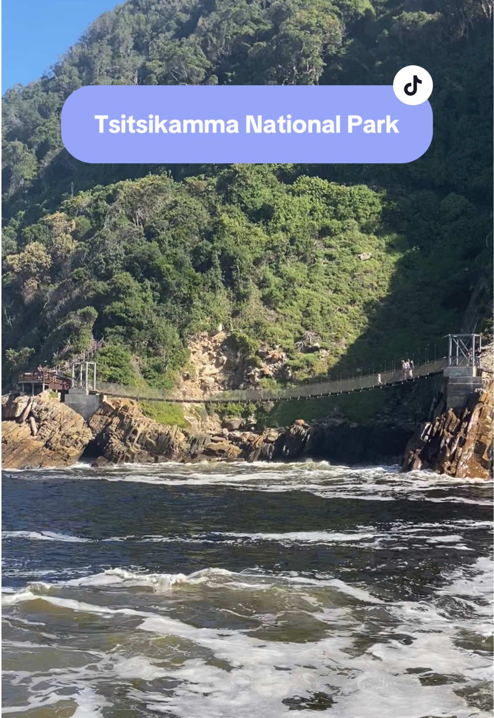 Escape to a world of tranquility and breathtaking views #creatorsearchinsights #tsitsikamma #gardenroute #gardenroutesouthafrica #fyptravel #suspensionbridge #exploresouthafrica #easterncapetourism