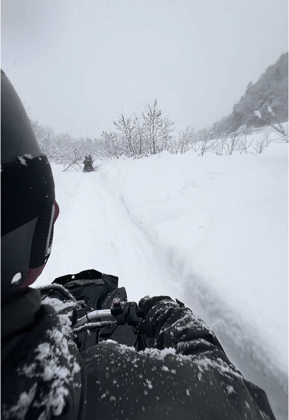 Musim dingin ga melulu soal ski atau snowboard. Main ini asik juga 😁#CapCut #winter #japan #hakuba #snowmobile #ski #snowboard #fypシ #masukberanda #kenshuseijapan🇮🇩🇯🇵🎌 