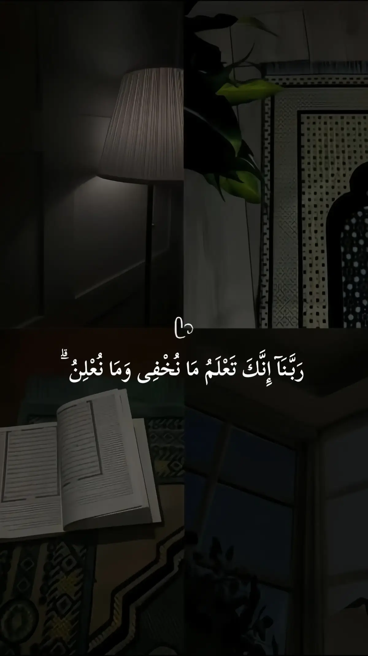 تلاوة خاشعة للقارئ احمد النفيس 🖤  سورة: إبراهيم 🖤 #قران #احمد_النفيس  #قران_كريم #سورة_ابراهيم #quran 