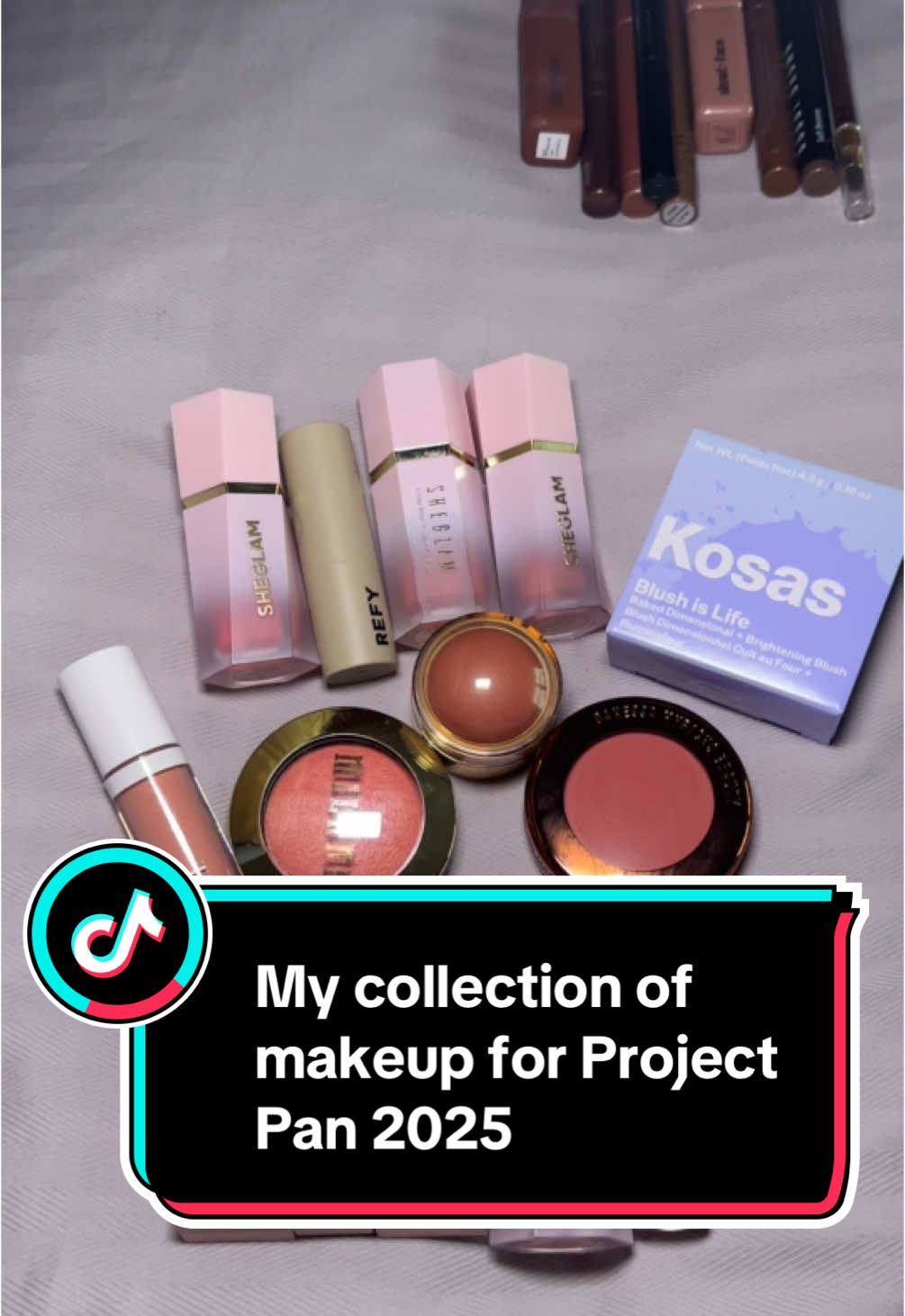 Makeup collection for Project pan 2025 #projectpan #fyp #nobuy #makeup #projectpan2025 #nobuychallenge 