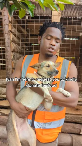 it has now been five days and good us totally done, kindly requesting to please donate for food. PayPal link in the bio. #dog #viralvideos #fyp 