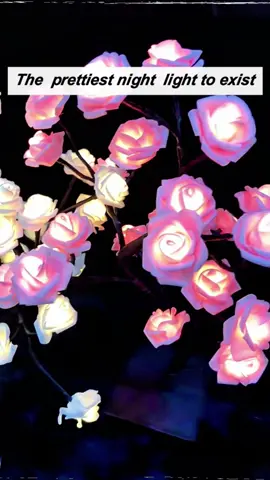 Great for night light + decor. I put this on my vanity and love how cute it came out! ❤️ #nightlight #light #rose #roses #flowers#CapCut 