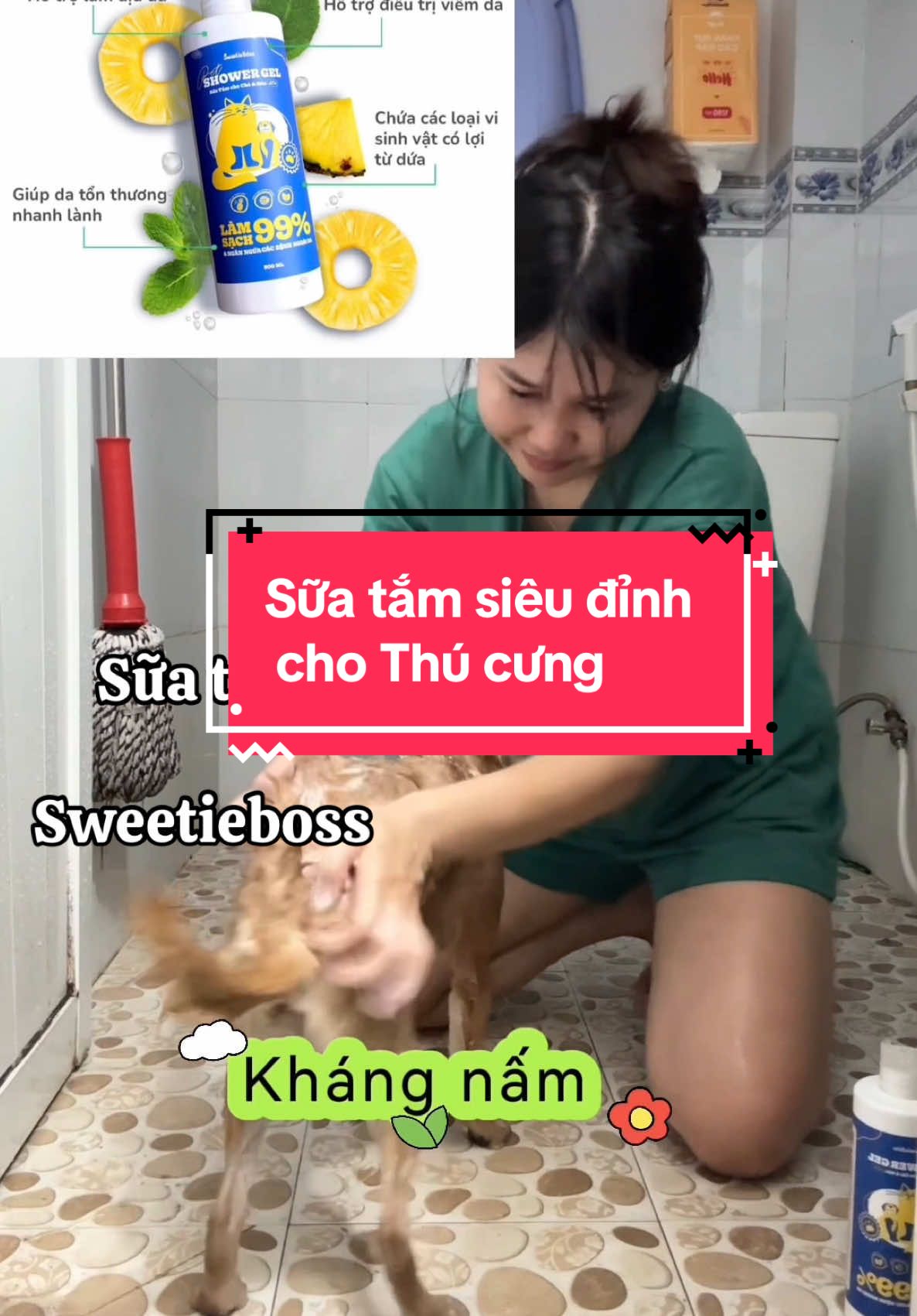 ✅Ưu điểm : Thuần thiên nhiên 100% , kháng nấm , siêu sạch da mà ko bị khô da , siêu mượt lông , giảm rụng lông. Lên men tự nhiên bằng trái dứa  .   Giảm rụng lông …  ❌ Nhược điểm : Không thơm như sữa tắm công nghiệp      #sweetieboss #reviewsuatamsweetieboss #suaâtmthiennhienchochomeo#xuhuong #chamsocdachocho 