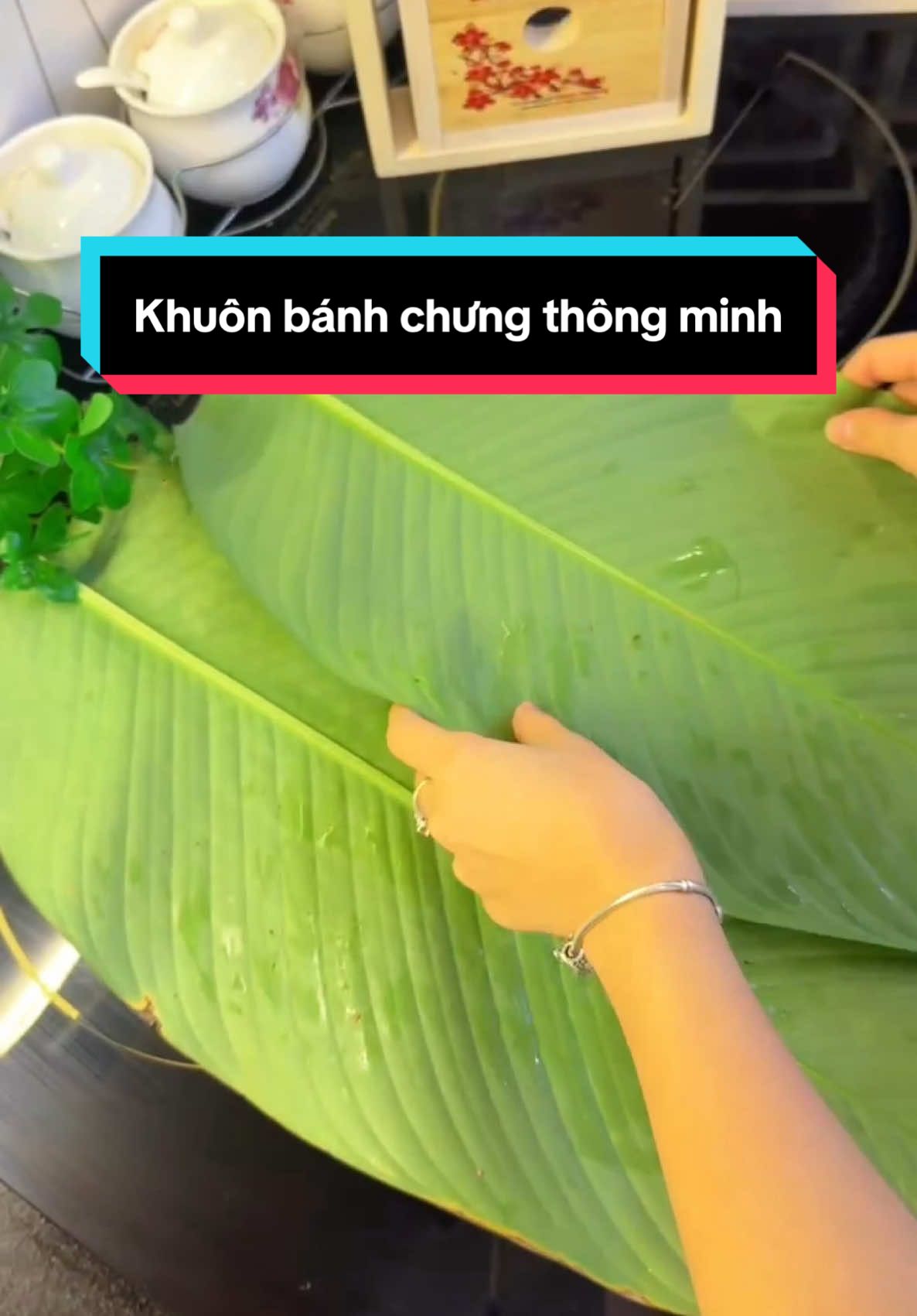 Khuôn bánh chưng thông minh .#khuonbanhchung #tablessstore #xuhuong #tet2025 #trending #tetmaiman #tetbaovui #tet #banhchung #hangdumuc #phamquanglinh #halinhofficial #tet #tiktok #tiktokxuhuong #hangtieudung #hot #giare #viral #tetmaiman #tethungkhoi #luotiktokers #samtetbungsac #huongdangoibanhchung #khuôngibanhchung #goibanhchung #xuhuongtiktok 