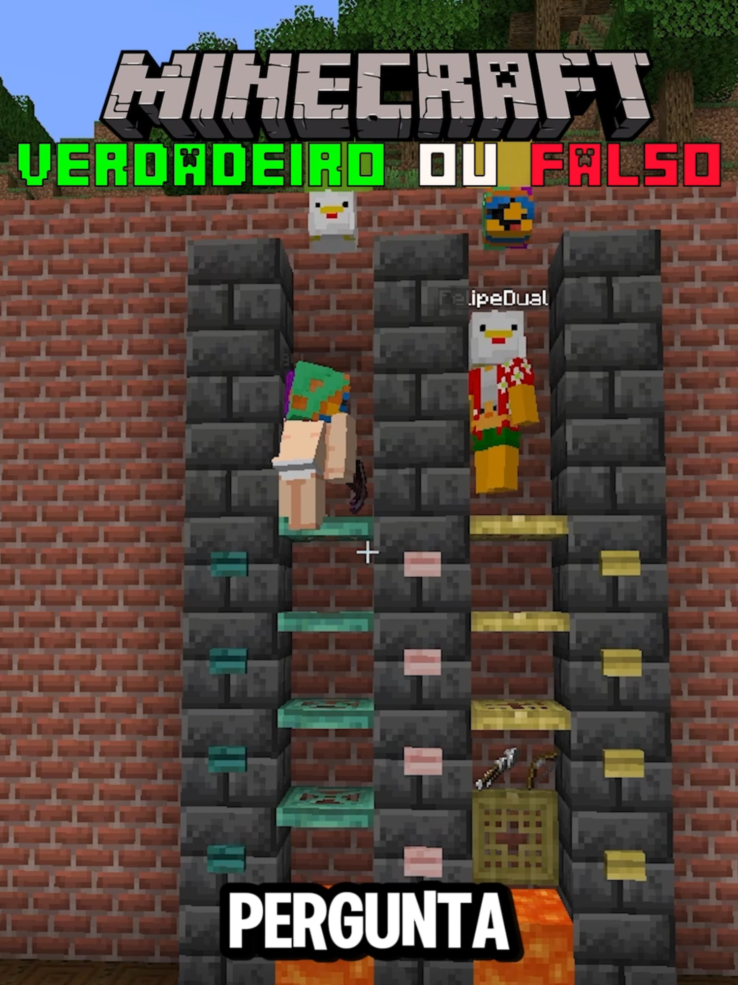 ⚔️ Quem Vai Acertar? 🤔 Verdadeiro ou Falso no Minecraft! 🎮🔥#Minecraft #mine @caue.dlc10 @felipedual