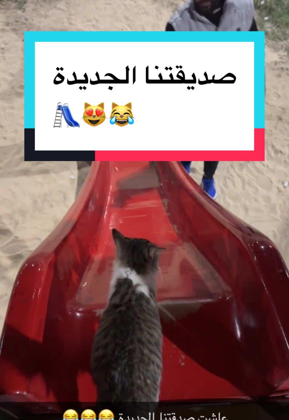 تتزحلق ويانا 😻😹 #قطط #القطيف_الشععب_اللطيف #fyp #catsoftiktok 