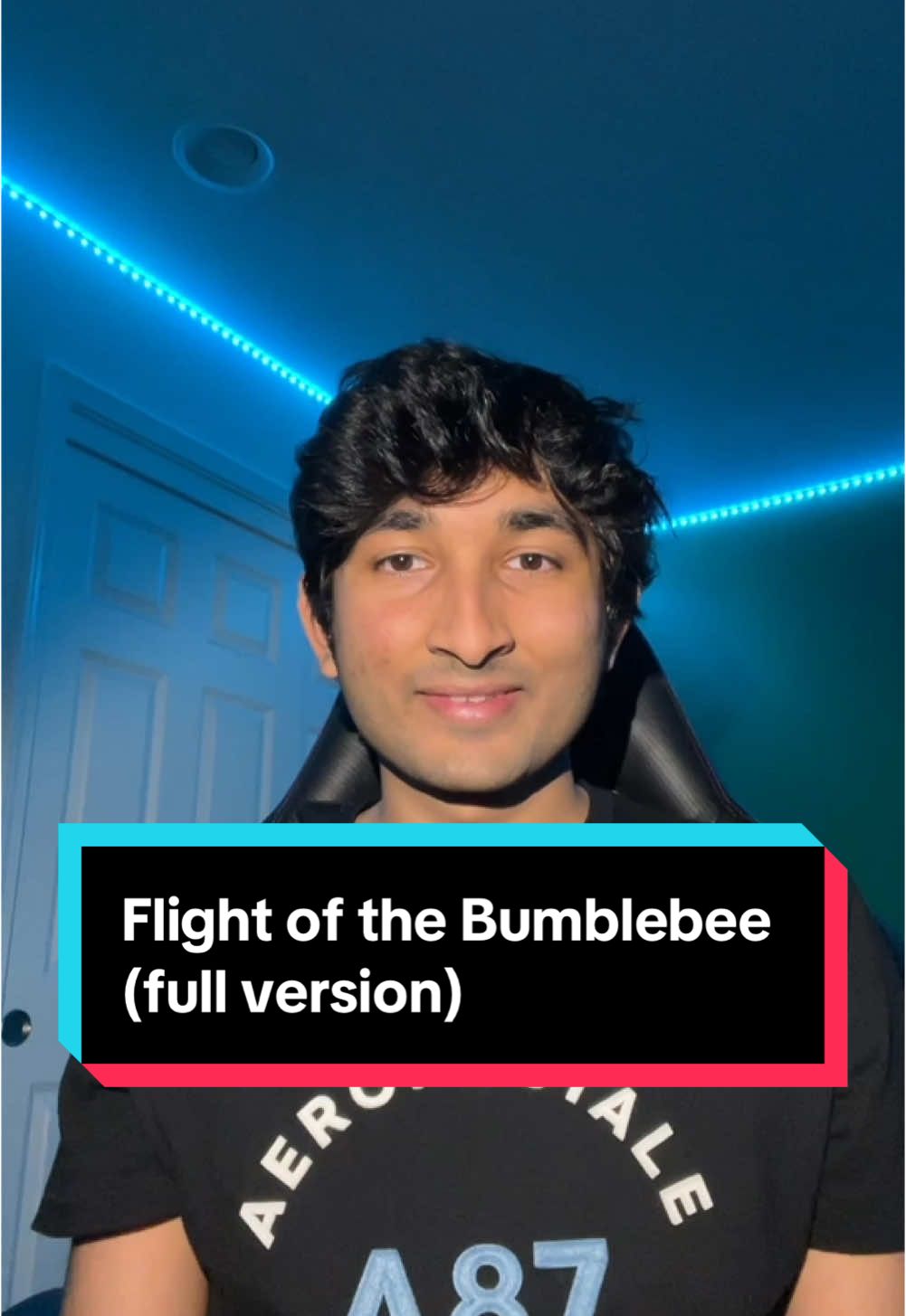 I made the FULL version of Flight of the Bumblebee using my voice! Hope you enjoy! // Editing time: 3 hours and 26 minutes #foryou #foryoupage #xyzbca 