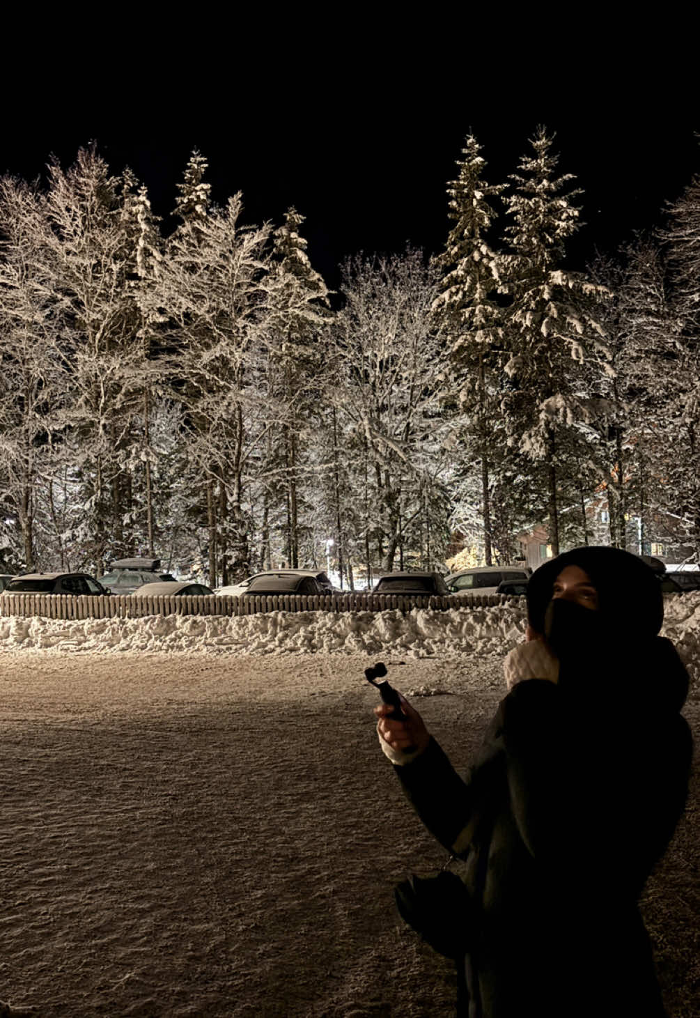 Some vids i took with the cam 🙈 #osmopocket3 #vlogging #camera #aesthetic #video #Vlog #fy #foryou #fyp #cold #dark #viral #famous #makemefamous #mountain #austria #snow #moments 