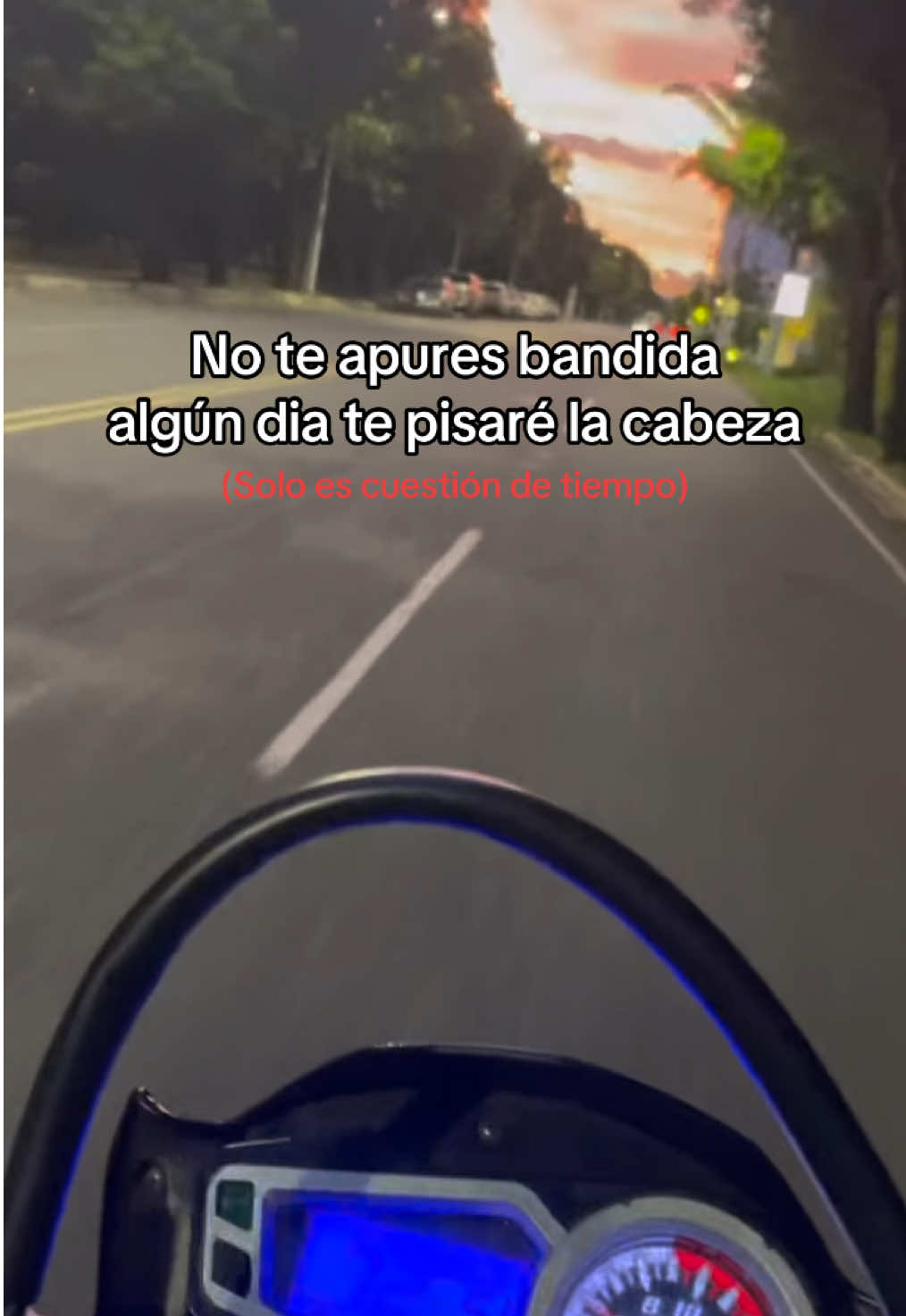 Tu destino está escrito malvada🥱