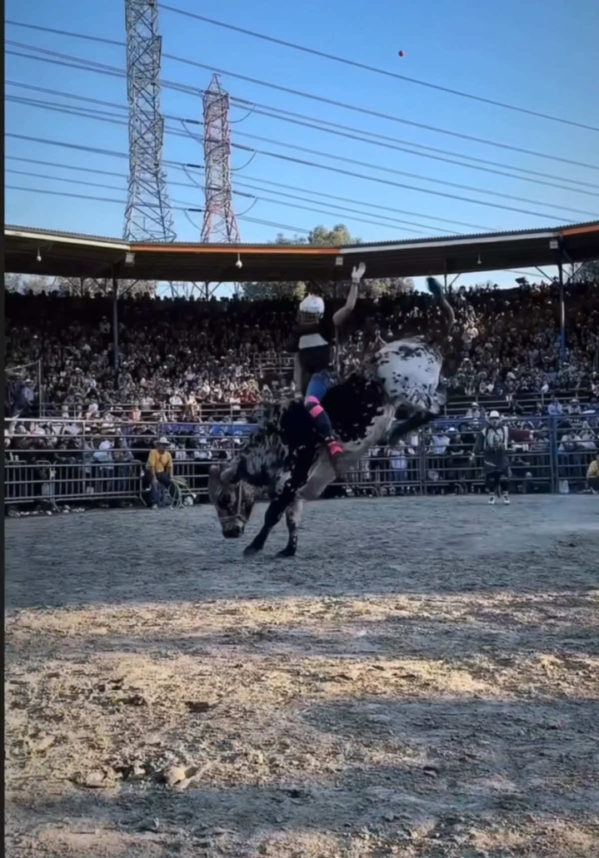 Que chulada de monta. #montasdeljaripeo #jaripeo_ranchero #mexico🇲🇽 #4you #jaripeoextremo #rancholosdestructores #pbr #rodeo #memoocampo #jaripeobaile #puebla #bullriders 