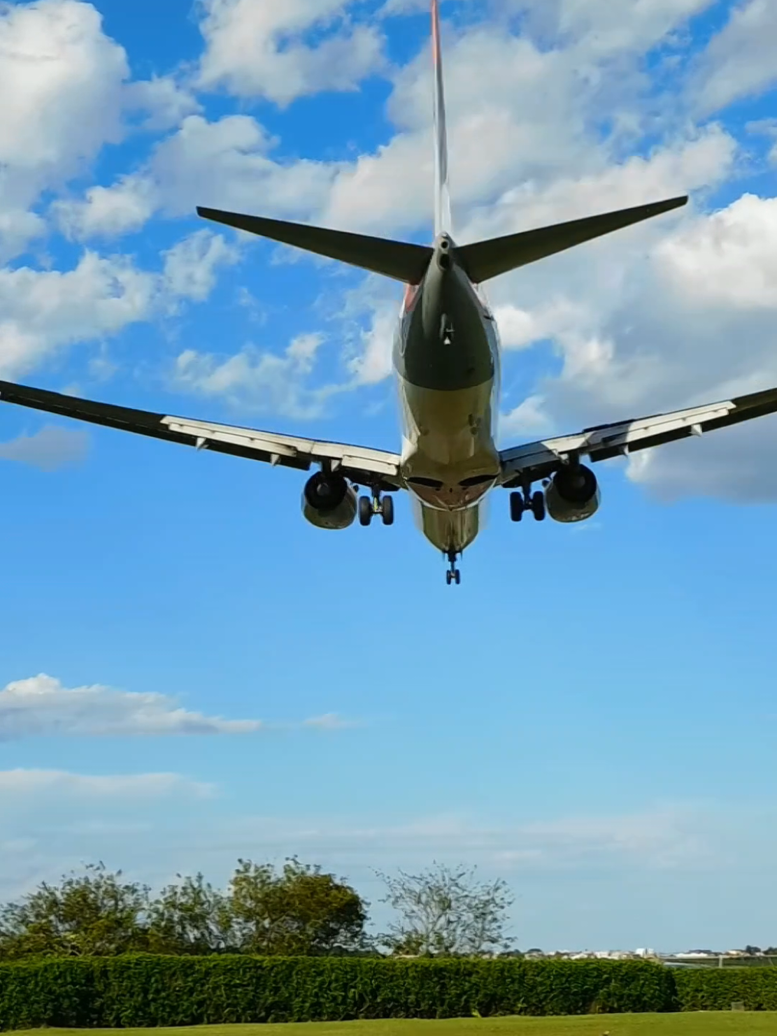 Boeing 737-800 pousando na pista 08 do aeroporto de Navegantes. #aviao #landing #pouso #aeroporto #aviacao #boeing #gol #navegantes 