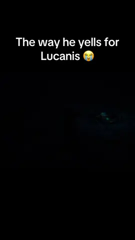 #rook #lucanis #lucanisdellamorte #lucanisromance #emmrich #emmrichvolkarin #neve #solas #dragonage #dav #dragonageedit #dragonageveilguard #fypシ゚viral #fyp #GamingOnTikTok #bioware 