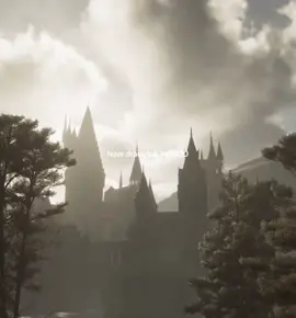 ahh i miss it || #harrypotter #hogwarts #hptok #dracotok #gryffindor #abcxyz #shifting #shiftingrealities #2020 