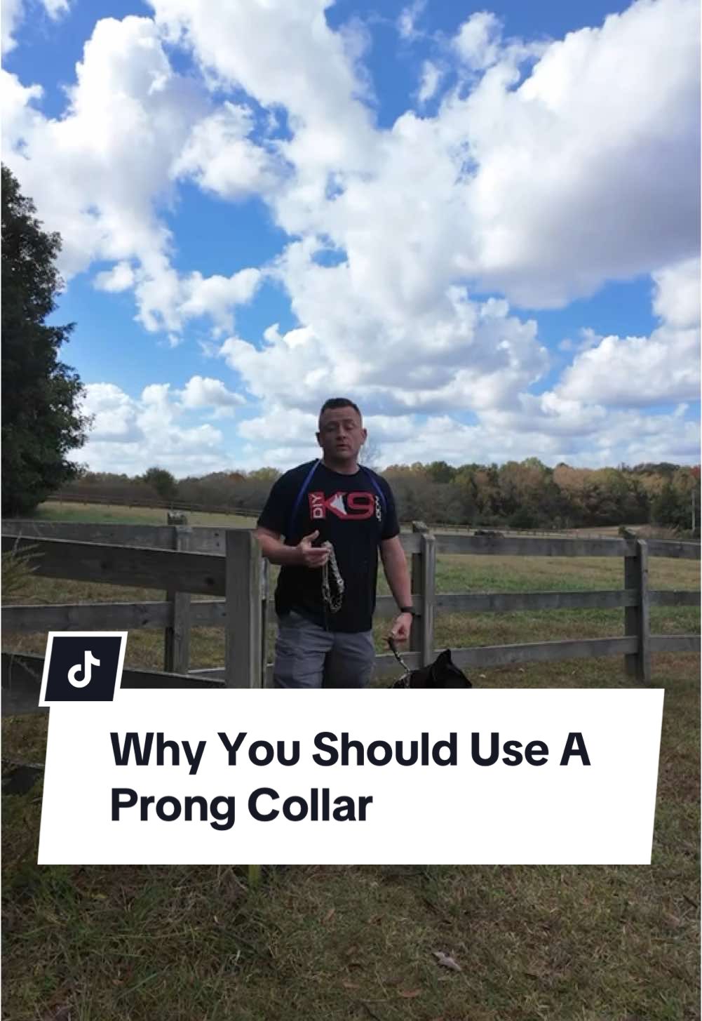 Alright folks, here’s reason #279 why we love using prong collars. Behind me, we’ve got three massive horses—each weighing over 1,000 lbs—and guess what? You don’t control them with brute strength. You use the right tools, like a bit, to make it manageable. It’s the same with dogs. Pound for pound, dogs are stronger than humans. That’s why a 100-lb dog can give even a 180-lb man a hard time on a leash. The prong collar gives you a mechanical advantage, allowing for: 🔹 Better control. 🔹 Easier communication. 🔹 A safer, less stressful experience for both you and your dog. So, what do you think? Love ‘em or hate ‘em? Drop your thoughts in the comments below. If you want to learn how to take your dog from Zero to Hero... Check out our $37 Course 