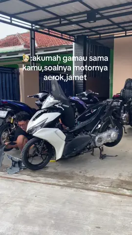 Wlee #fyp #aeroxmodifikasi #aerokdownsize #penggunaring17 
