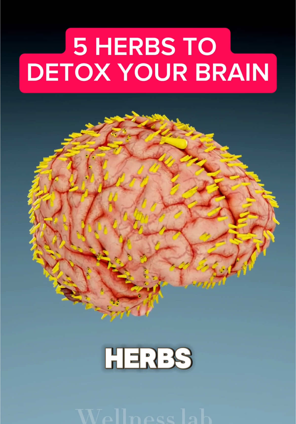 5 HERBS TO DETOX YOUR BRAIN. #detox #brains #herbs #usa🇺🇸 #usa_tiktok #usatiktok #blueberry 