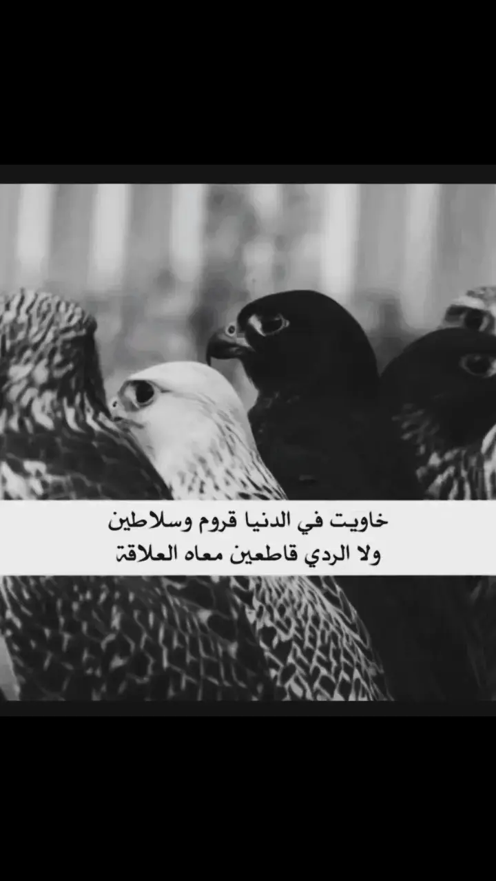 #جبراتت📮١6 #بوح_القصيد #شعر #خواطر #هجران♡ #_hgran #اكسبلورexplore 