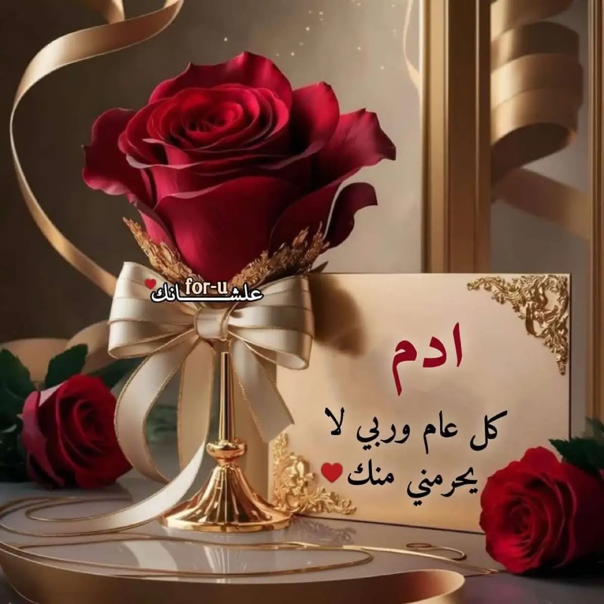 كل سنه وانت بالف خير وسعاده يا عمرى ♥️♥️