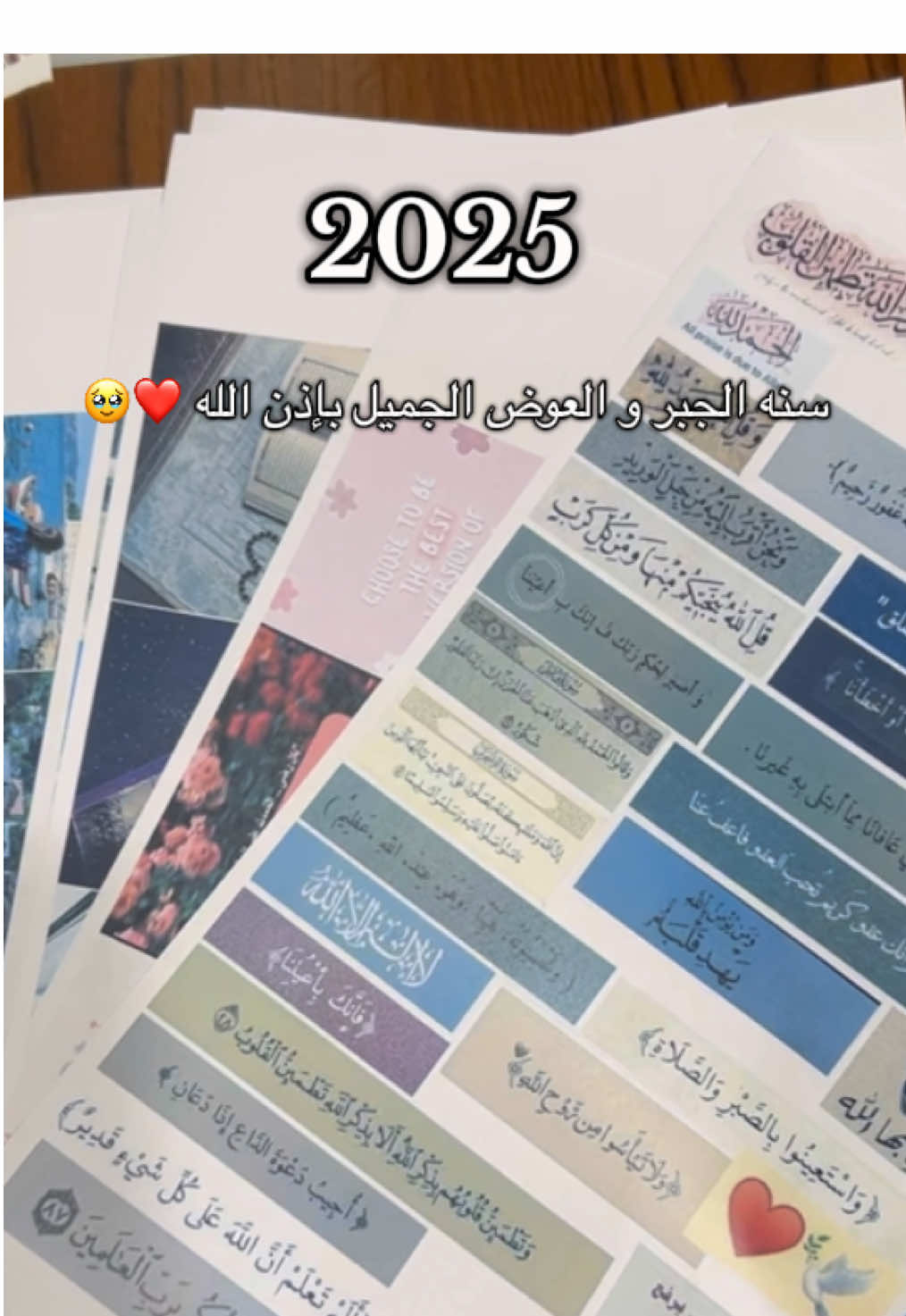 سنه جديده = فرصه جديده ❤️ #fypp #سميه_الناصر #تطوير_الذات #طموح_بلا_حدود #تحقيق_الامنيات #عام_جديد #2025 #اهداف #طموحات #سنة_جديدة #@د.سمية الناصر #visionbook #visionboard 