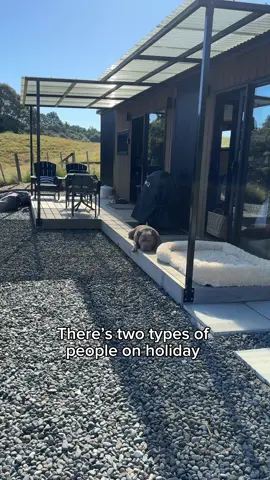 There’s always one friend with an entire holiday schedule and the other that wants to sit by the pool and drink 🍸 #dog #holiday #Summer #funnydog #puppy #americanbully #staffy #dogsoftiktok 