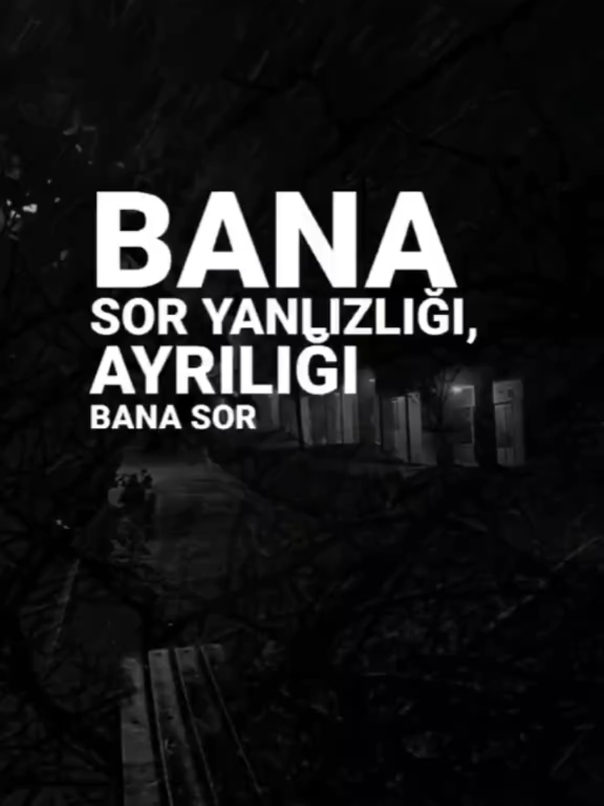 Yanlızlıği Bana Sor🥀 Karşılıksız sevginin, vefasız sevgilinin Bomboş kalan bir elin acısını bana sor Bana sor yanlızlığı, ayrılığı bana sor Mutluluğu tanırsın, mutsuzluğu bana sor, bana sor #ferditayfur #banasor #ferditayfurhayranları #ferditayfursevenler #ferditayfuraşıkları #ferditayfuranilari #ferdibaba #yanlızlığıbanasor  #siyahbeyazask 