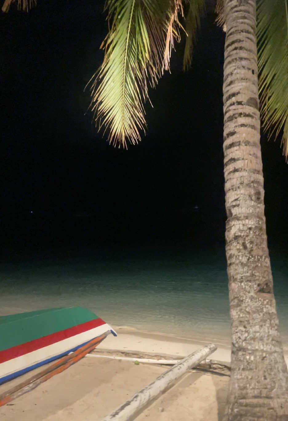 Alona at 1 am 2k15 🌴#fyp #fypシ゚viral #bohol #beachday #trending 