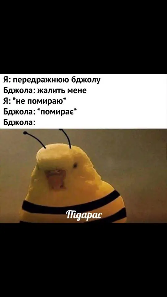 #юмор #мем #прікол #юморист #пріколи #mem #memestiktok 