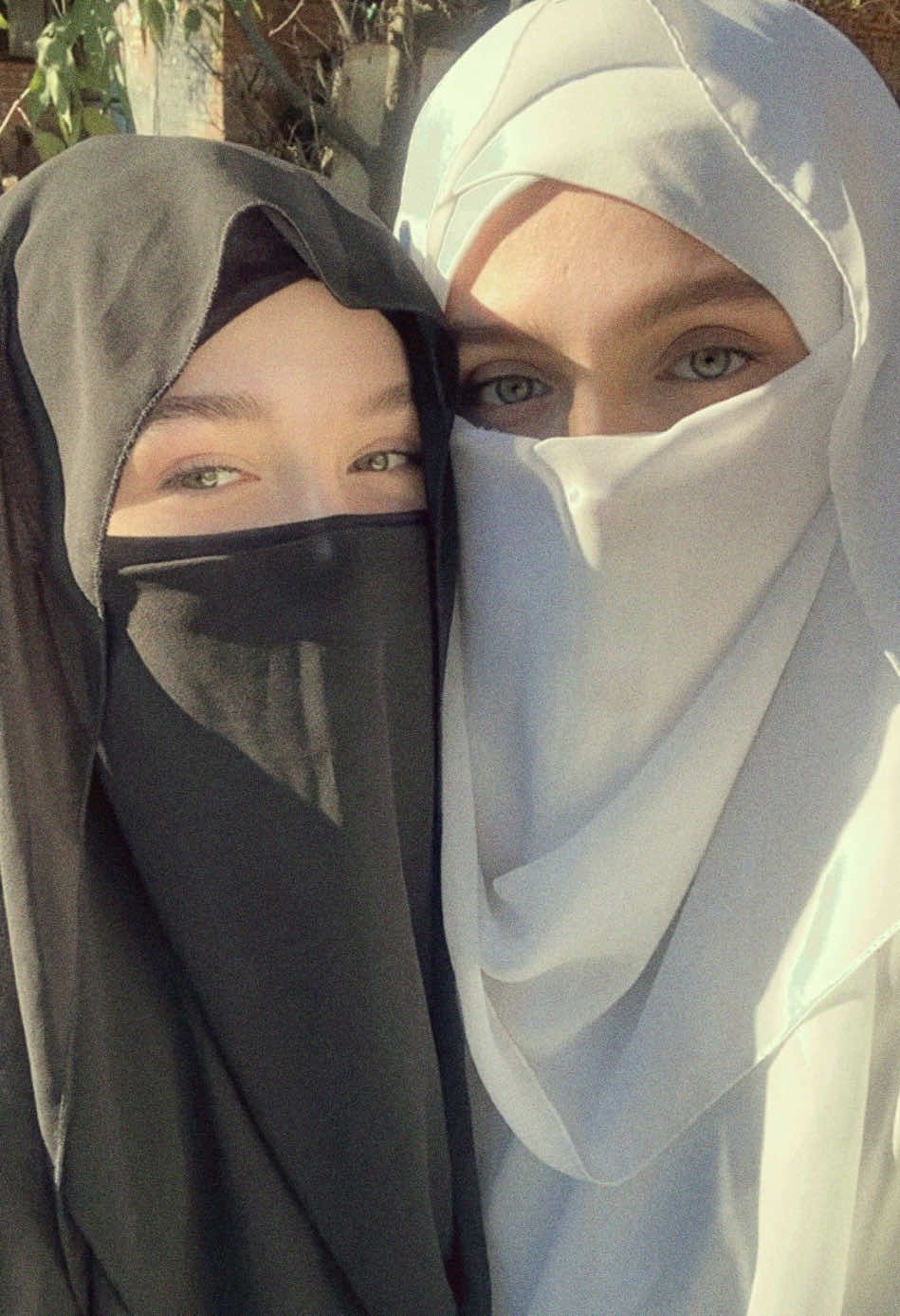 🥑🕊️ #hijab #aesthetic #fyp #рек 