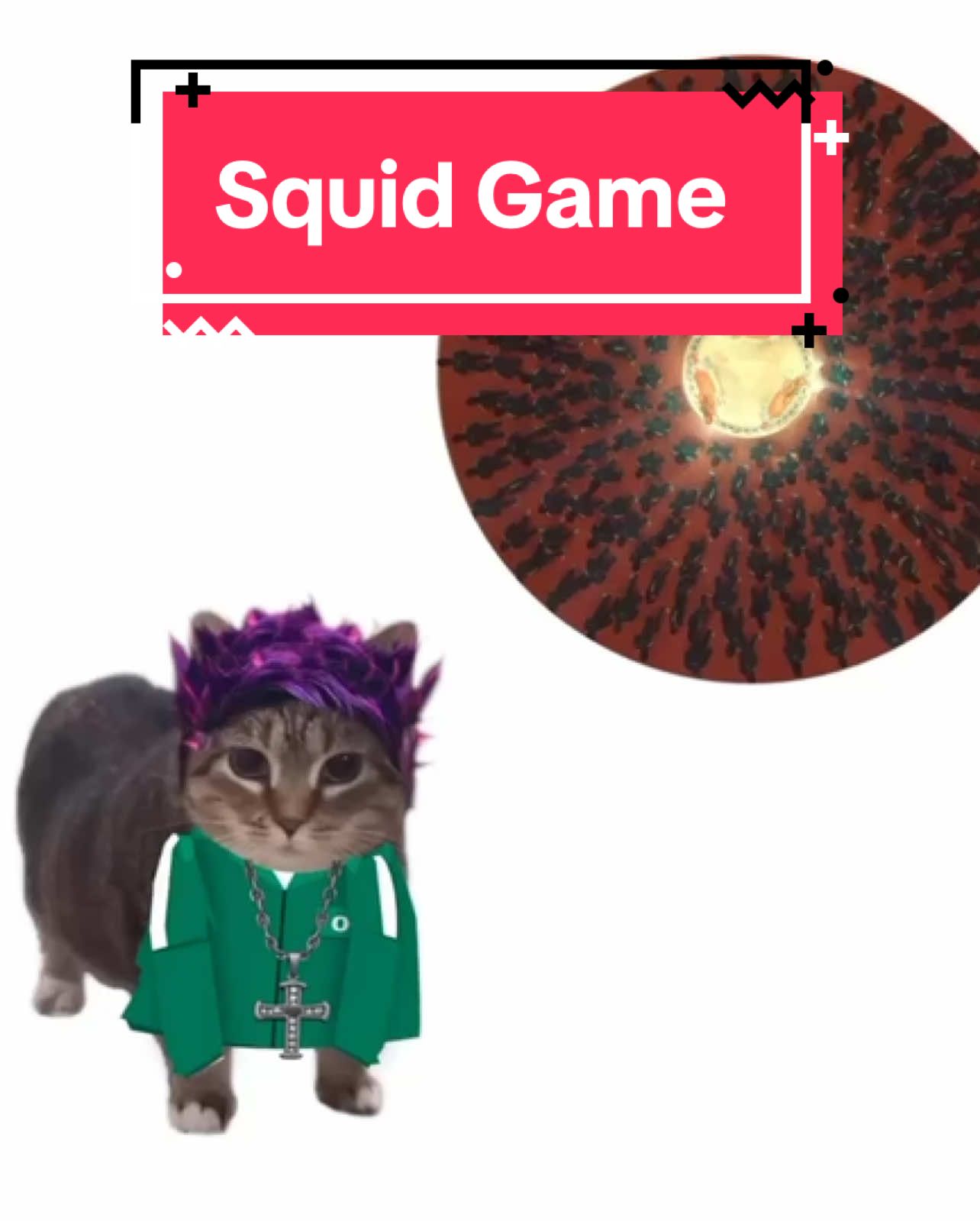 OIA cat plays Squid Game! #cats #catsoftiktok 